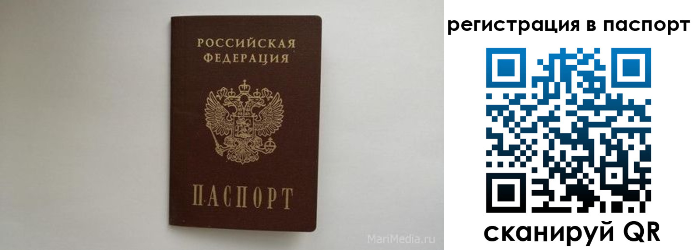 прописка в Калужской области